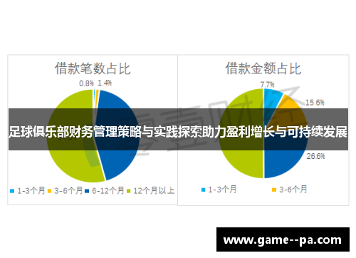 足球俱乐部财务管理策略与实践探索助力盈利增长与可持续发展