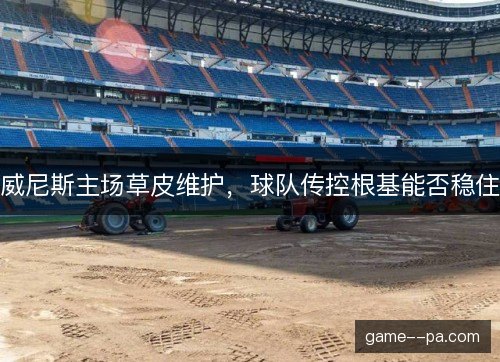 威尼斯主场草皮维护,球队传控根基能否稳住 威尼斯主场草皮维护,球队传控根基能否稳住